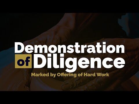 Demonstration of Diligence (Mandate Summit, Sunday, 25.05.2025)